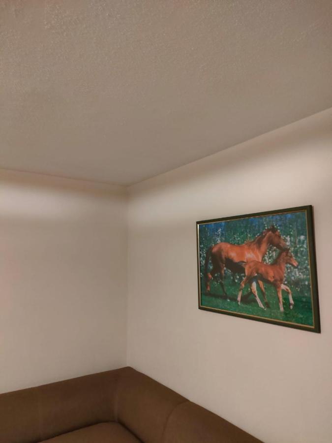 Apartament 6 Osobowy Szklarska Poręba Exteriör bild